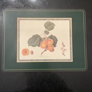 Vintage Pimpernel Cork Backed Placemat “the Brussels Apricot”